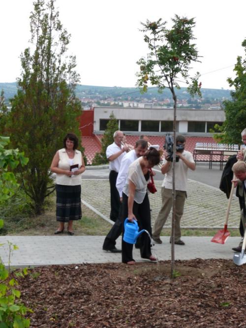 P1100087